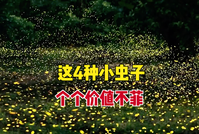 农村常见的4种“小虫子”，有些值上万，但很多人却无视，为啥？