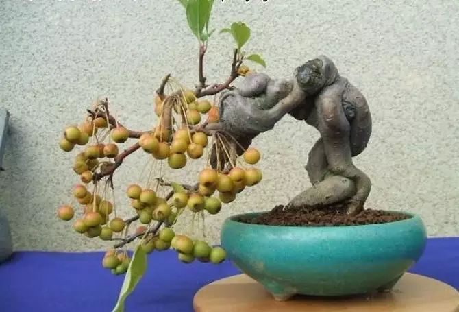 果树的养殖方法和注意事项_果树栽培管理与养护_果树下养殖技术