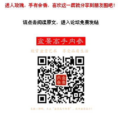 果树的养殖方法和注意事项_果树下养殖技术_果树栽培管理与养护