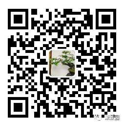 果树栽培技术_果树的养殖方法和注意事项_果树下养殖技术