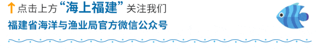 致富养殖项目_致富养殖鱼类有哪些_鱼类养殖哪个致富
