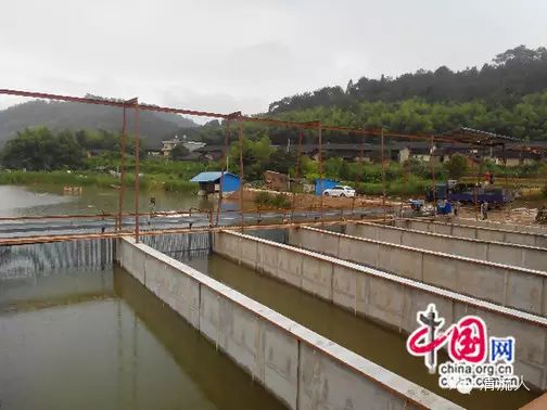 养殖鳗鱼要投资多少钱_鳗鱼养殖技术和利润_养殖鳗鱼赚钱吗