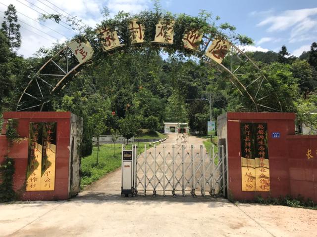 长汀梓牧生态家庭农场：“立体种养”闯出致富新路……