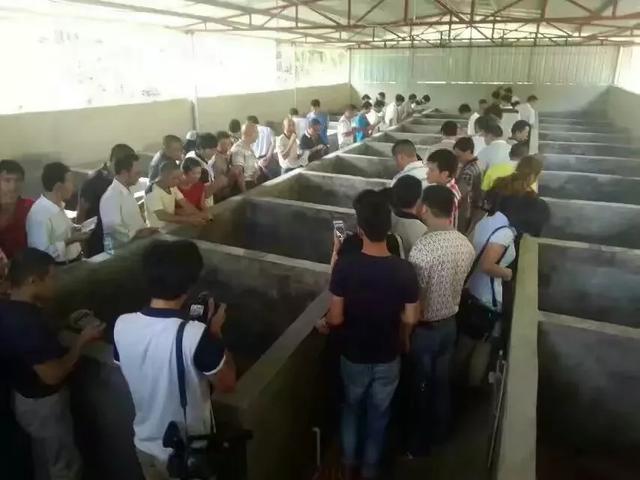 长汀梓牧生态家庭农场：“立体种养”闯出致富新路