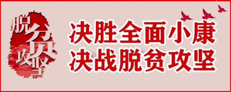 致富经菌菇种植_种蘑菇脱贫致富_扶贫菇种植致富