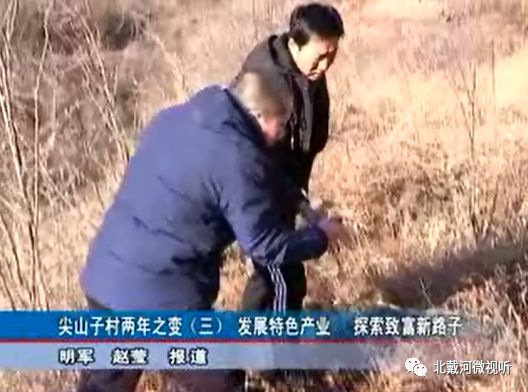 特色种植致富景点_致富景点种植特色是什么_致富景点种植特色产品