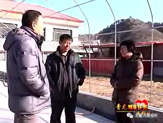 特色种植致富景点_致富景点种植特色是什么_致富景点种植特色产品