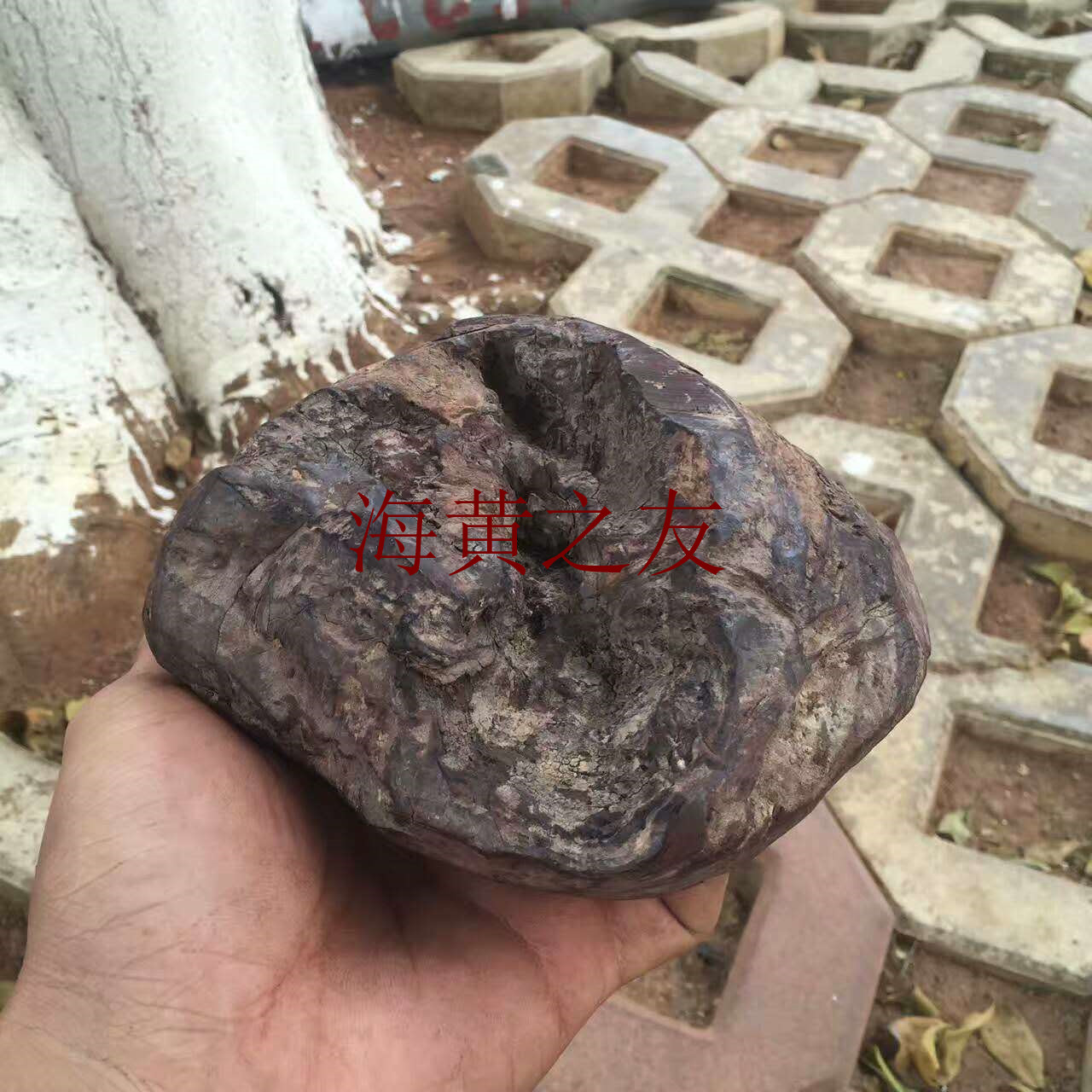 中央七致富经赌木_中央致富计划_中央致富经是真的假的