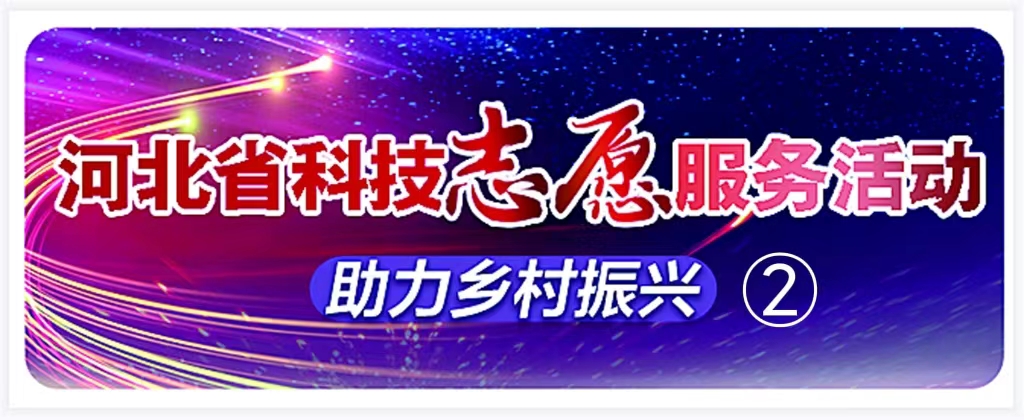 科技服务｜高油酸花生绿色高效栽培关键技术_河北农网