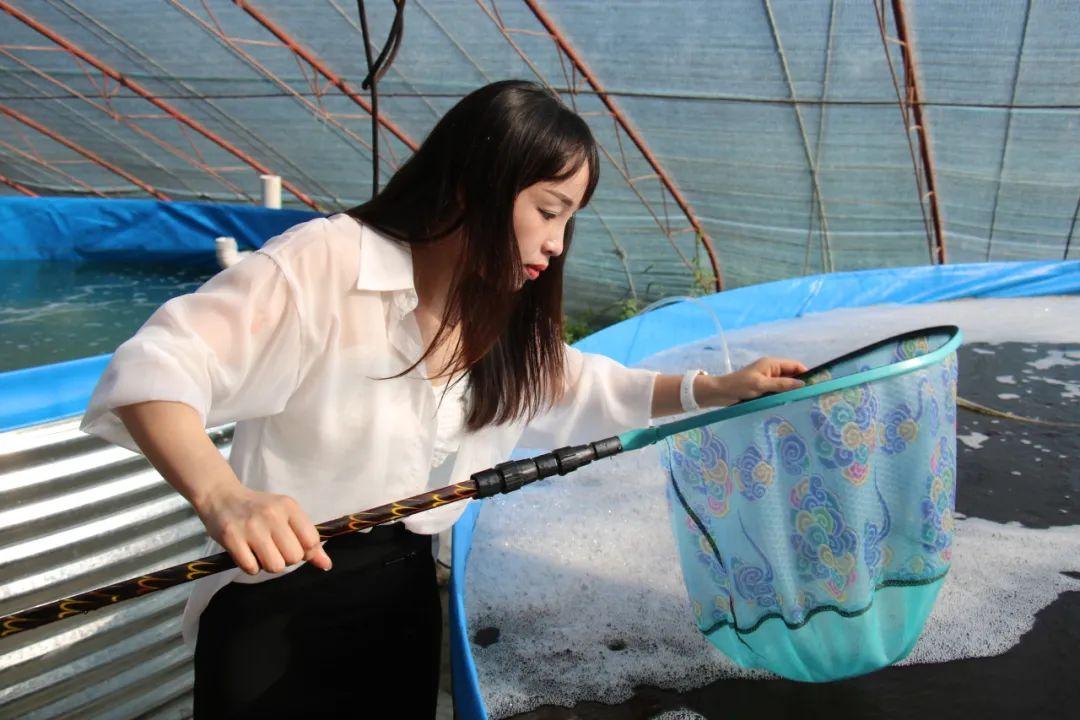 致富经养虾_中央七套致富经养殖小龙虾_中央七套致富经 养虾