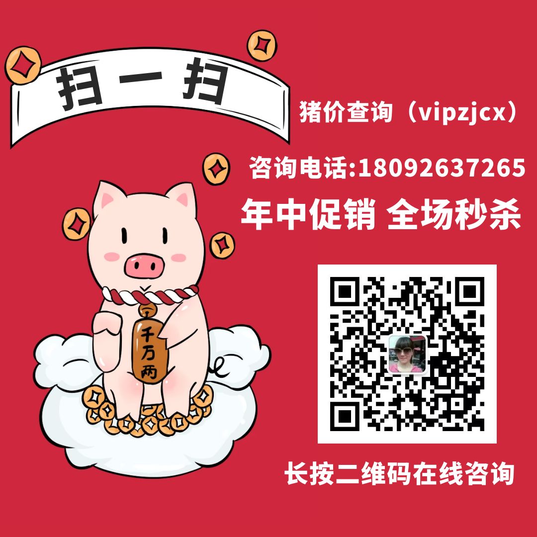 孵化养殖技术鸭苗视频_鸭苗孵化技术培训_刚孵化的鸭苗怎么养殖技术