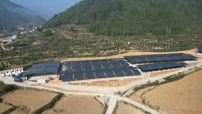 致富养殖业_致富养殖深圳项目有哪些_深圳致富养殖项目