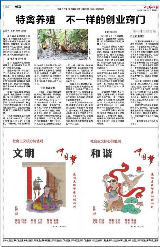 养殖锦鸡需要什么条件_养殖锦鸡的利润_锦鸡养殖致富吗