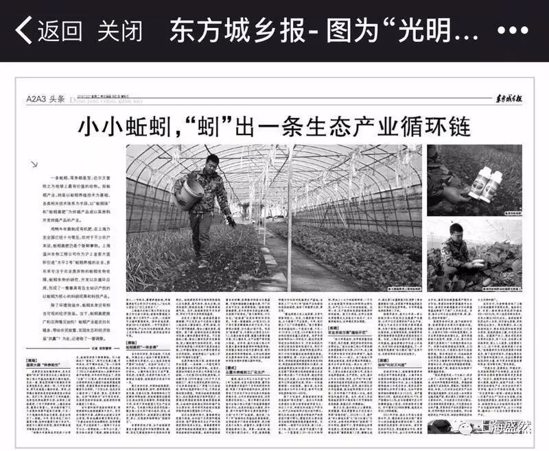 牛粪养蚯蚓挣钱吗_养蚯蚓的牛粪怎么处理_鲜牛粪养殖蚯蚓技术
