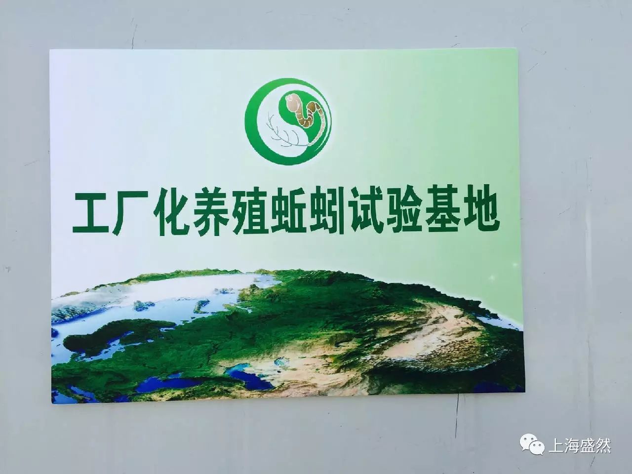牛粪养蚯蚓挣钱吗_养蚯蚓的牛粪怎么处理_鲜牛粪养殖蚯蚓技术
