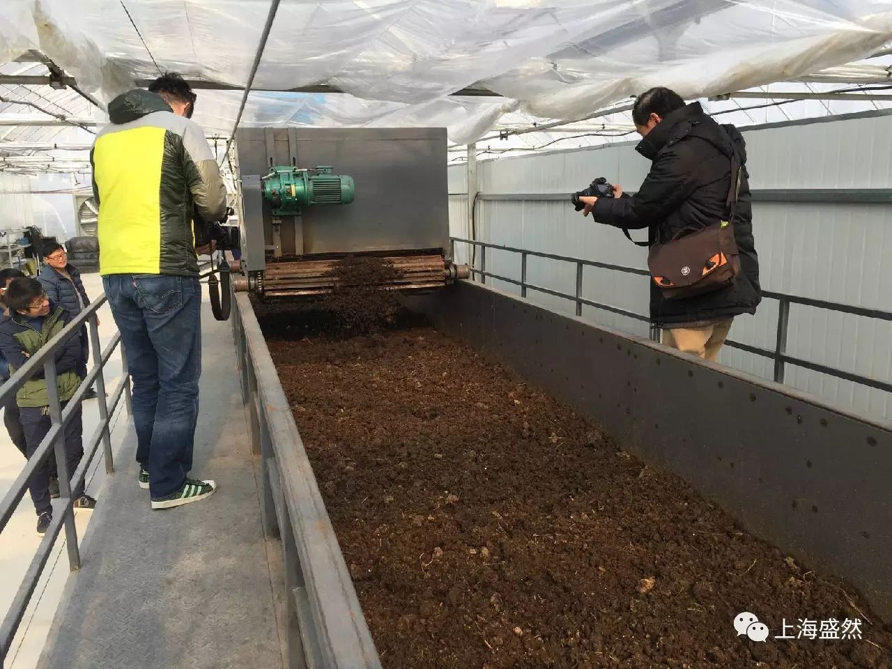 牛粪养蚯蚓挣钱吗_养蚯蚓的牛粪怎么处理_鲜牛粪养殖蚯蚓技术