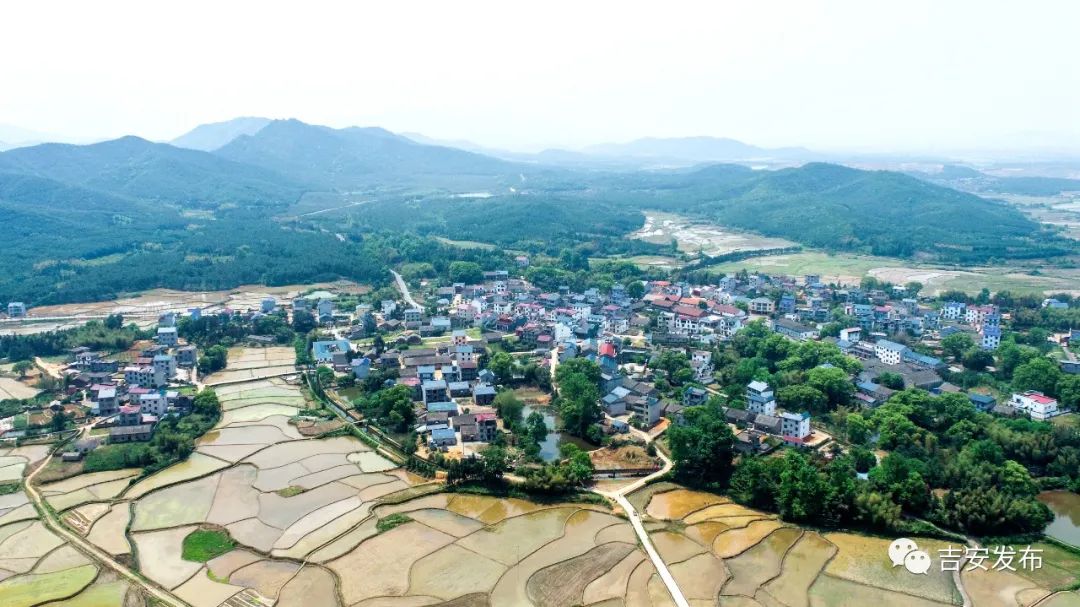 峡江马埠镇上盖村：小鱼儿“游”出富民大产业