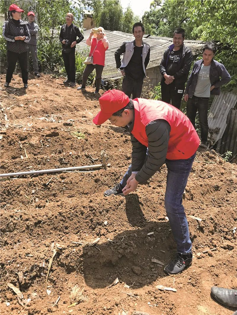 蚕养殖技术蚕养殖视频教程_木薯蚕虫_木薯蚕养殖技术