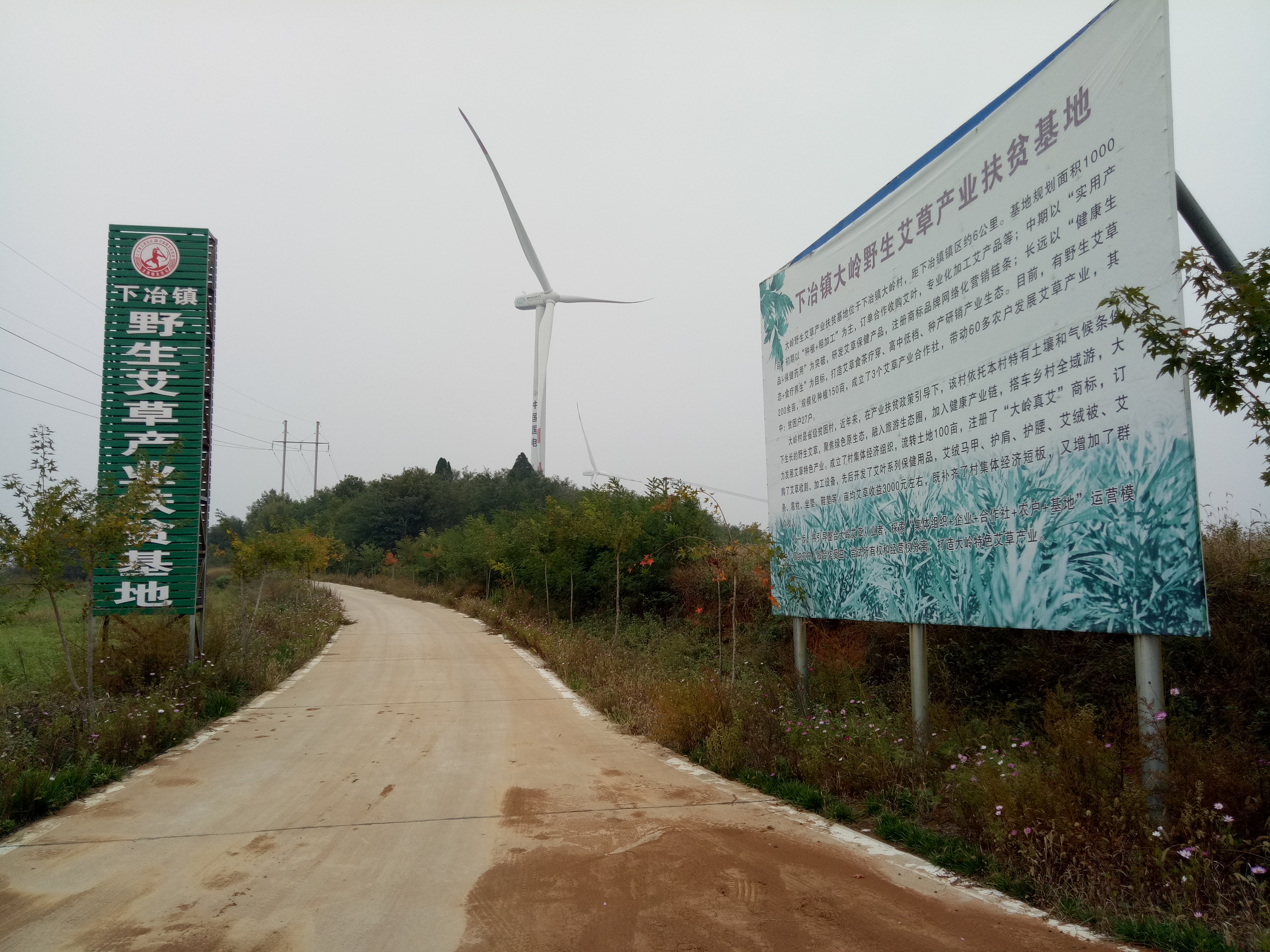 致富种植门路企业名称_致富门路种植企业_致富种植门路企业名单