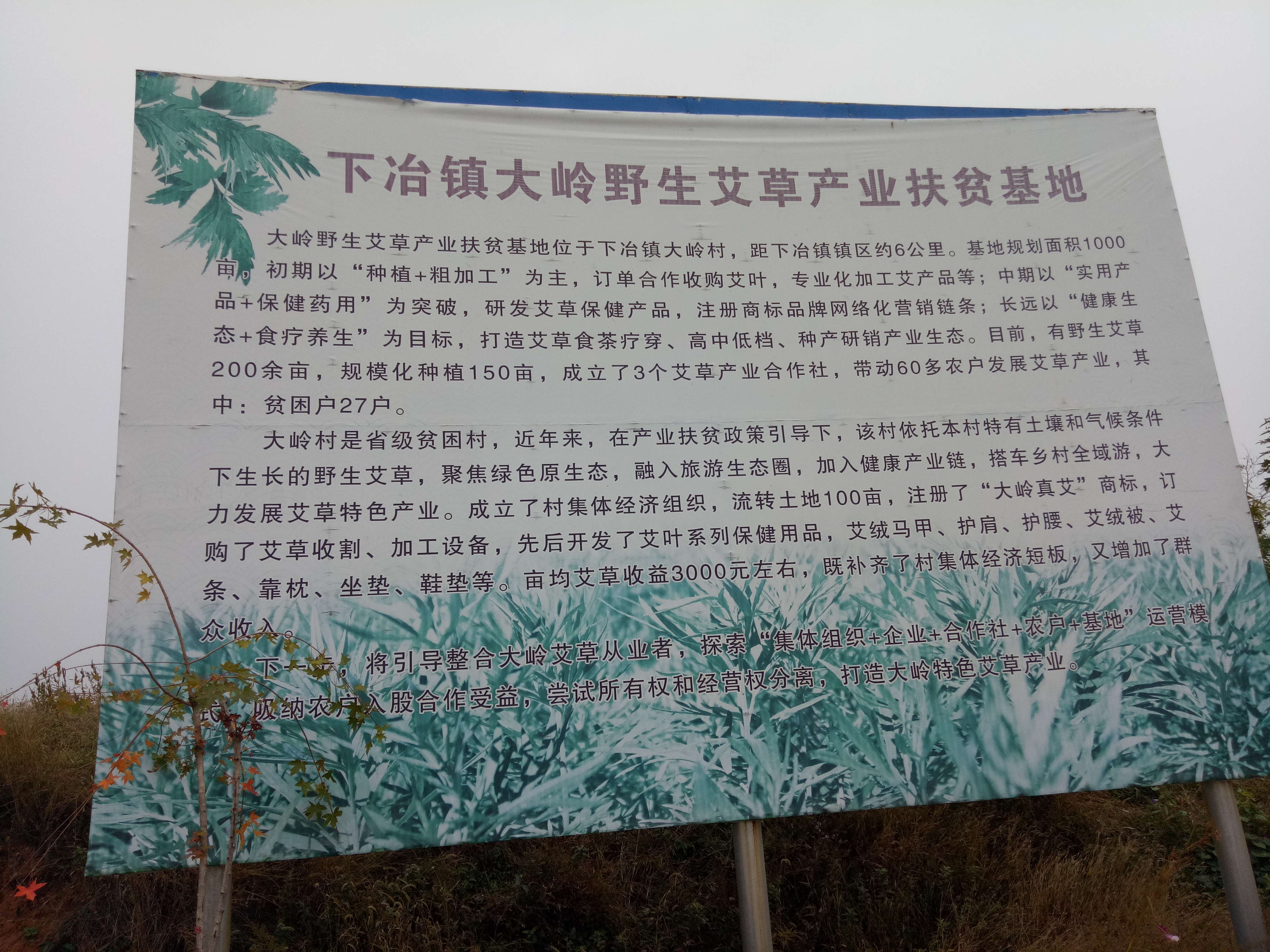 致富种植门路企业名单_致富门路种植企业_致富种植门路企业名称