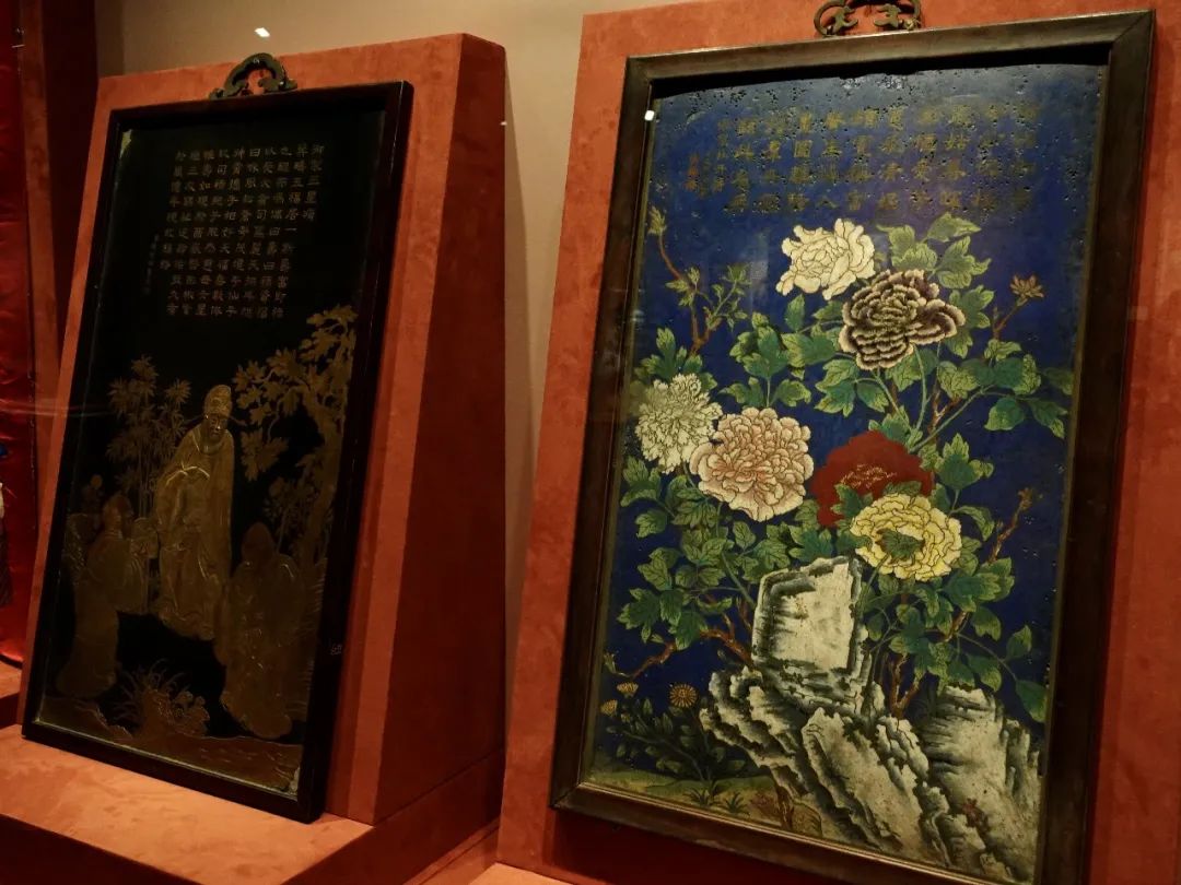 深圳致富养殖项目_养殖致富项目一_致富养殖业