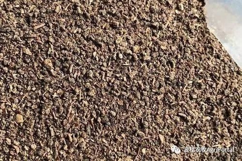 木薯蚕养殖技术_木薯蚕虫_蚕养殖技术致富经
