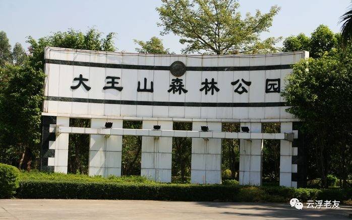 木薯蚕虫_蚕养殖技术致富经_木薯蚕养殖技术