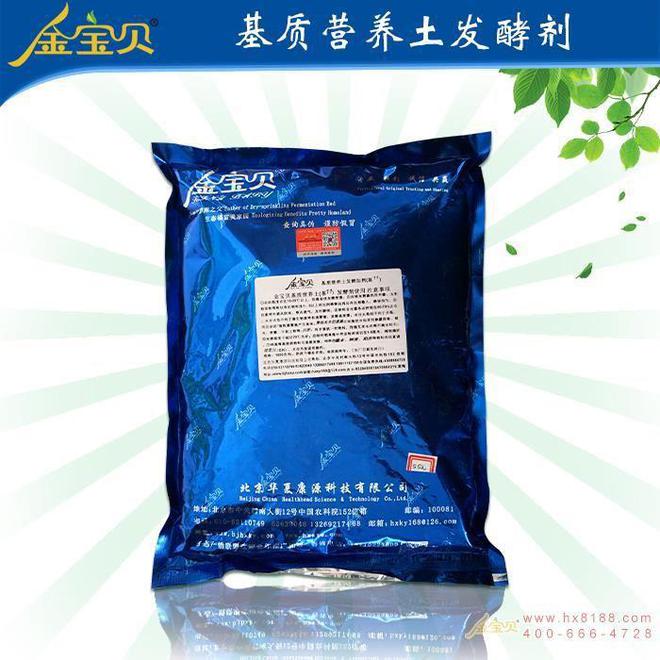 大棚种植金针菇, 金宝贝教您如何种植