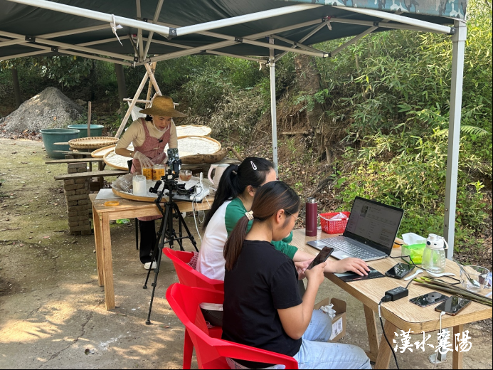 致富种植葛根怎么样_种植葛根的前景与利润_种植葛根致富