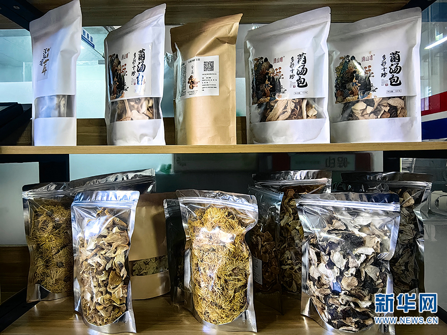 种植块菌致富_致富种植块菌有哪些_块菌种植技术