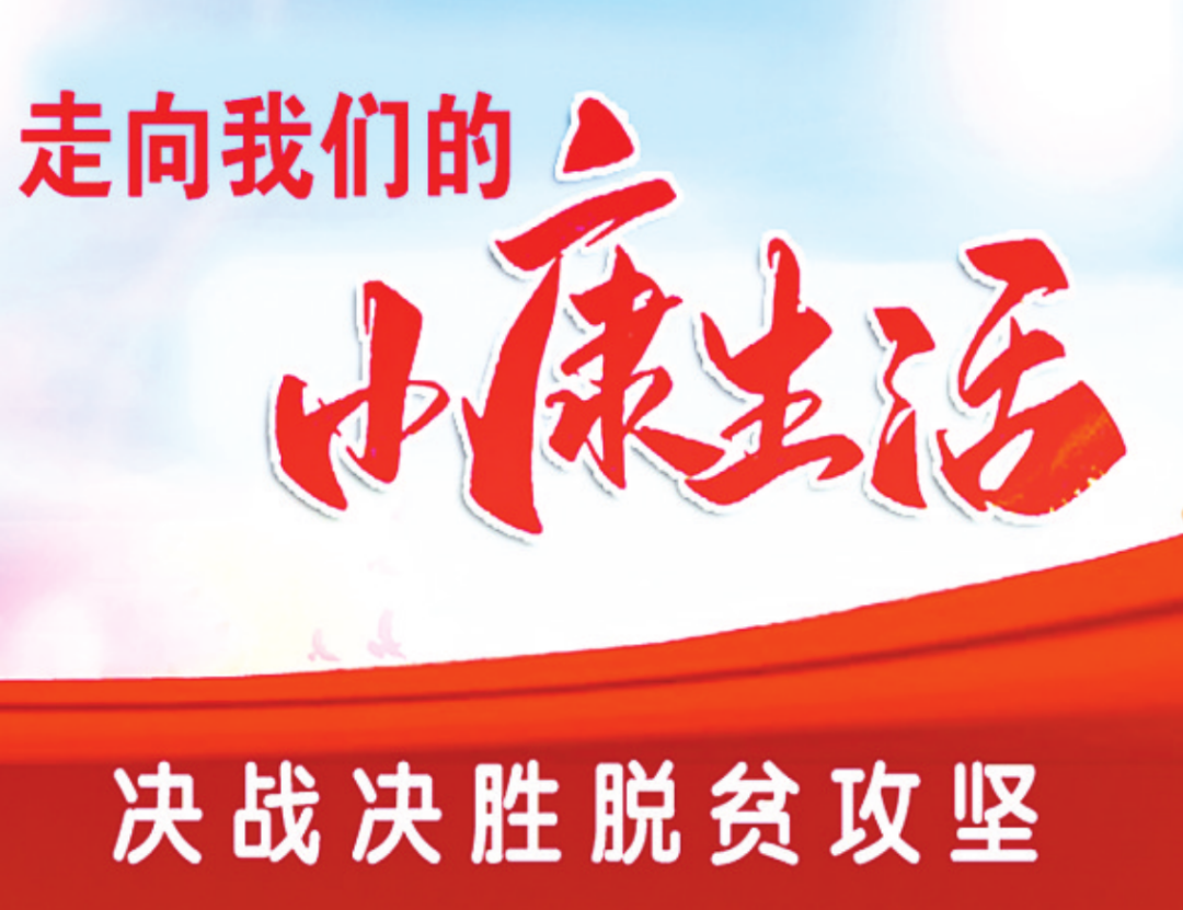 【走向我们的小康生活】故城探索林地“种+养”：为贫困户铺就致富路