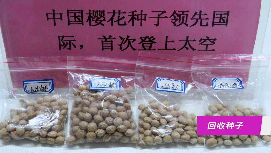 何宗儒致富经_怎样致富致富_致富经何超