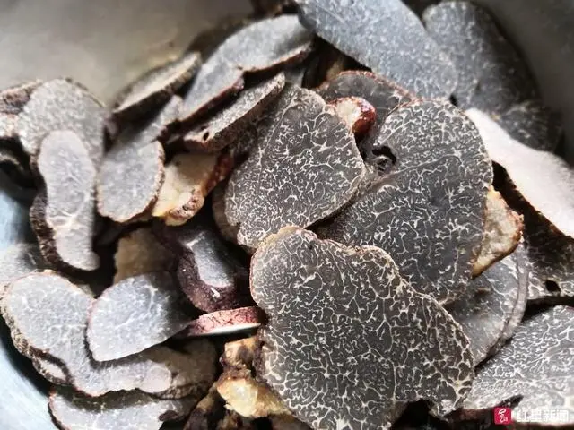 种植块菌致富_块菌种植技术_致富种植块菌有哪些