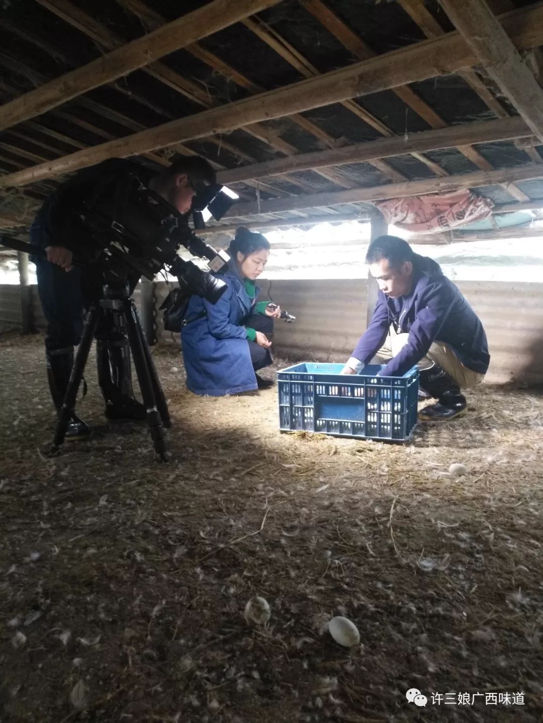 致富经皮蛋制作_制作皮蛋最简单做法_皮蛋制作教程视频