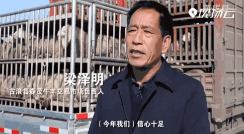 “县”在出发——行走百县话振兴丨荒原焕新！听，牛羊声打破这里的寂静