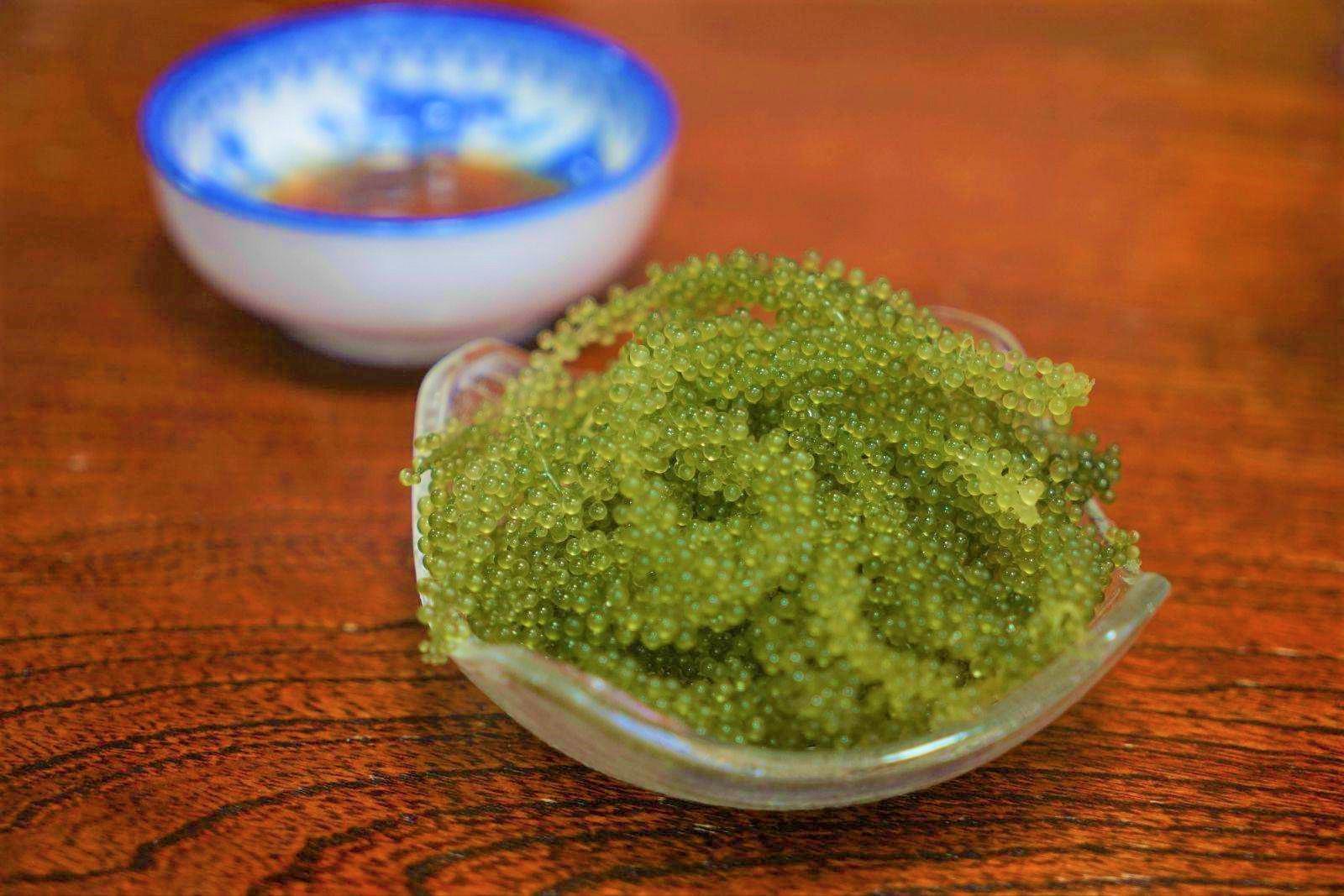 养殖海葡萄都有哪些风险_海葡萄养殖致富_海葡萄养殖投资大吗