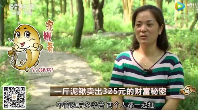 致富经鸡屁股_致富经鸡屁股_致富经鸡屁股