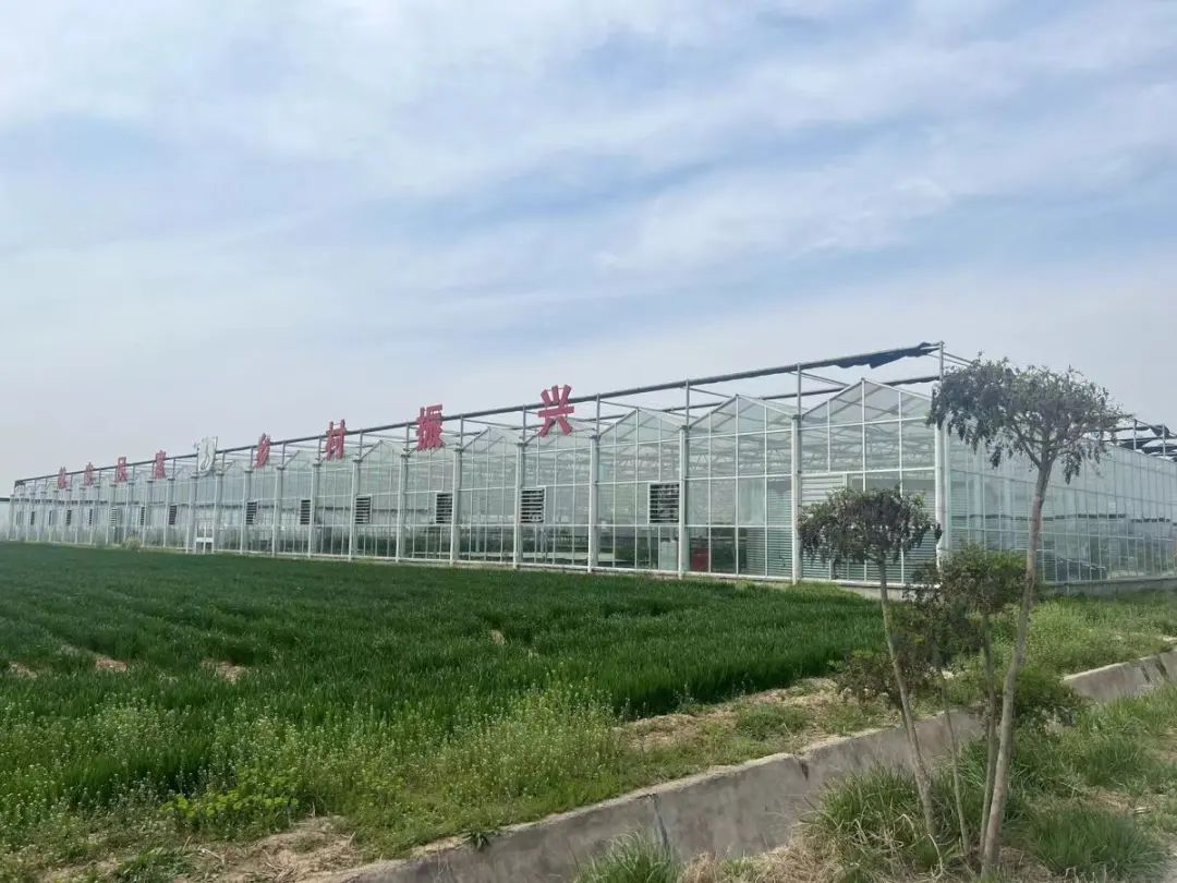 田间科技故事汇｜科研成果转化成田间地头的丰收，科技力量让乡村振兴“跑”起来