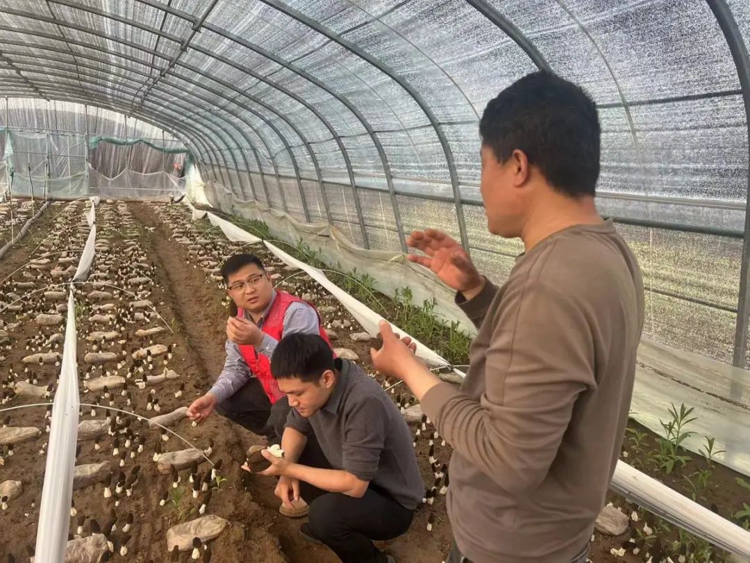 锦鲤养殖场需要投资多少钱_养殖锦鲤鱼视频_致富经地锦鲤养殖视频