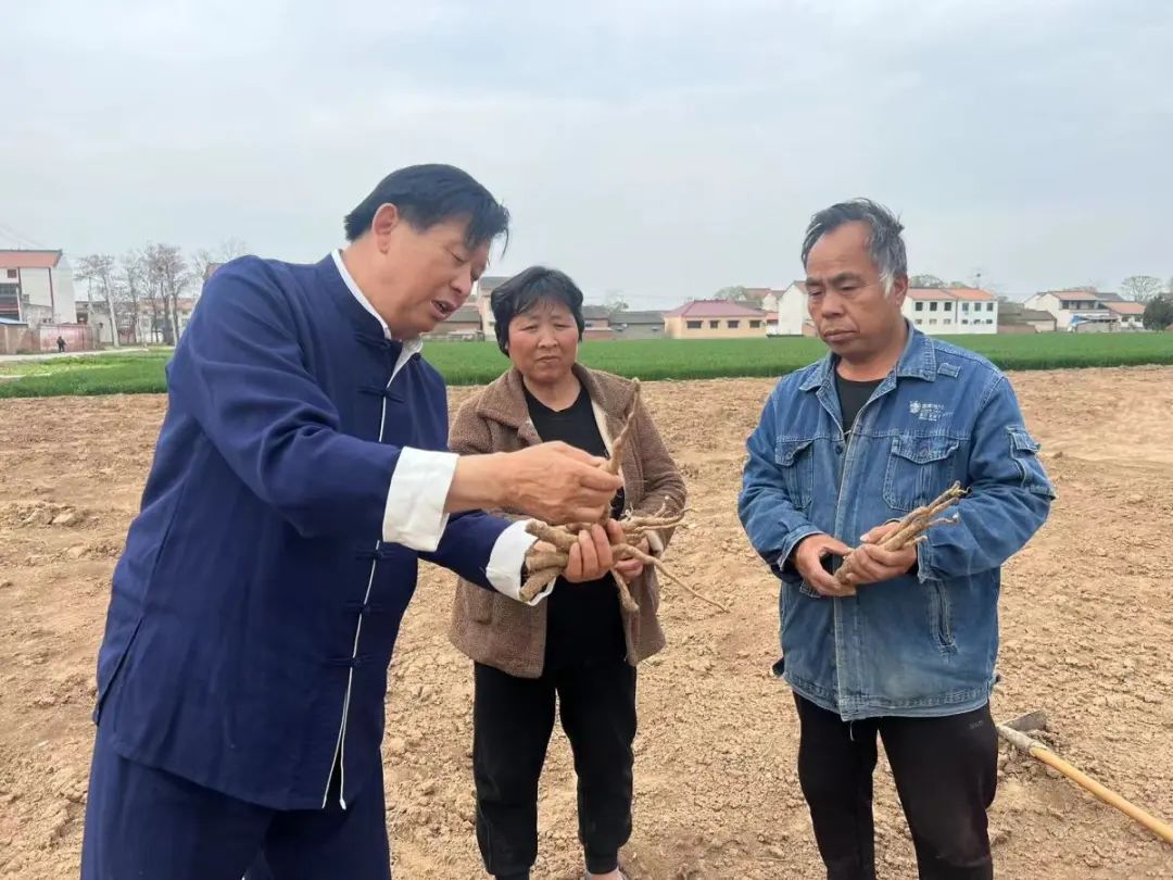 致富经地锦鲤养殖视频_锦鲤养殖场需要投资多少钱_养殖锦鲤鱼视频