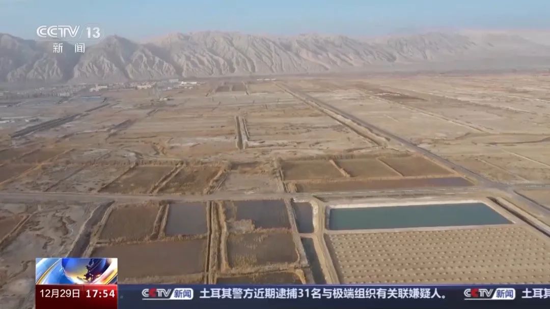 沙漠建设大型养殖场_致富经沙漠养鱼_致富经沙漠养殖