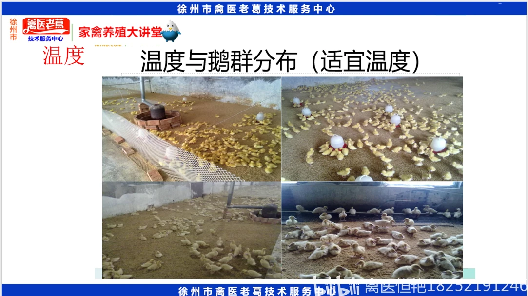 养殖技术教程_养殖步骤_养殖教程技术实训报告