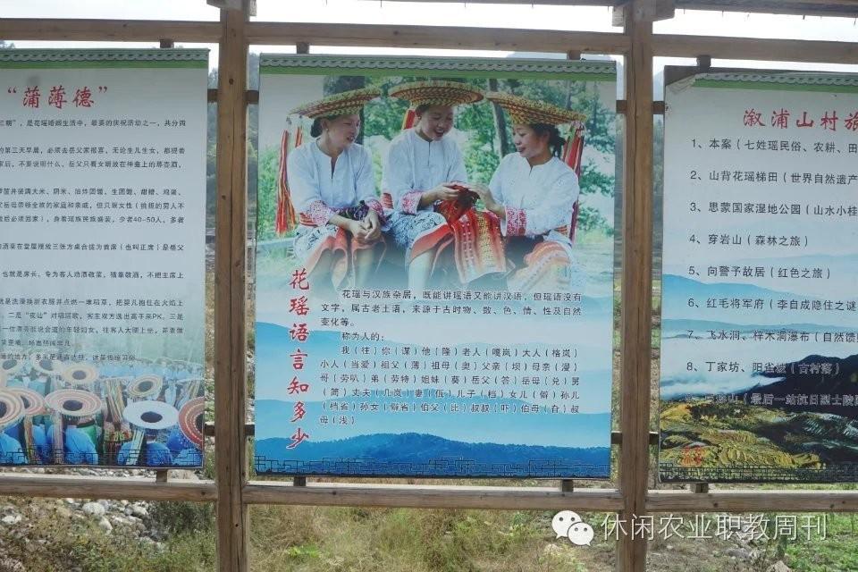 养殖竹鸡的前景和利润_致富养殖故事竹鸡视频_竹鸡养殖致富故事