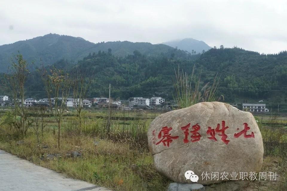 致富养殖故事竹鸡视频_养殖竹鸡的前景和利润_竹鸡养殖致富故事