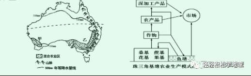 芹菜花养殖方法_养殖芹菜花技术要点_芹菜花养殖技术