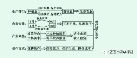 芹菜花养殖技术_芹菜花养殖方法_养殖芹菜花技术要点