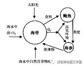 春季海参养殖技术_春季海参养殖技术视频_春季海参养殖管理技术