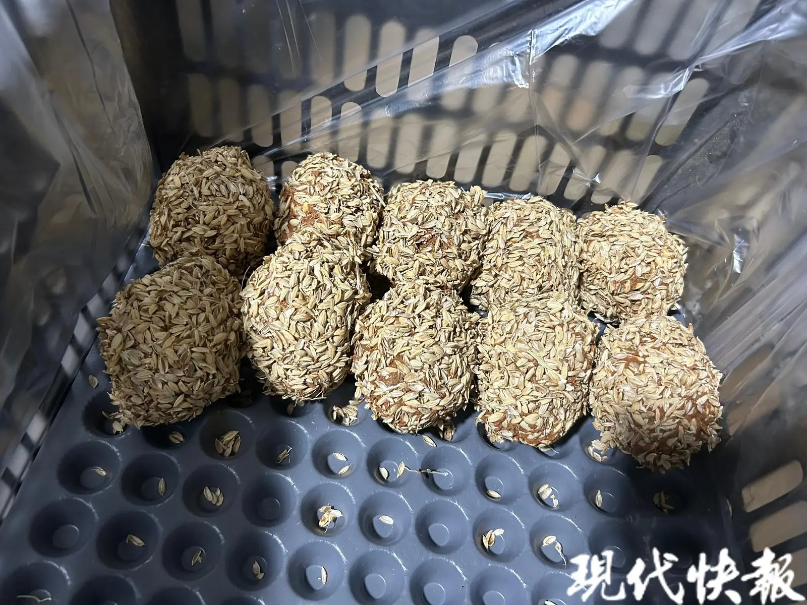 皮蛋怎么做出松花_致富经松花皮蛋制作_怎样制作皮蛋松花蛋视频