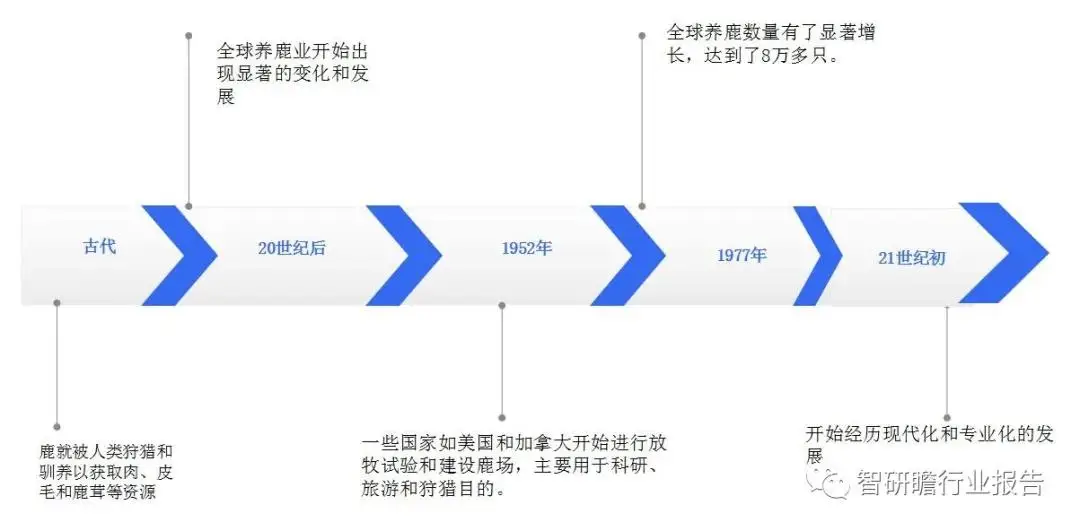 黄牛的养殖技术_养殖黄牛技术视频_养殖黄牛技术要求