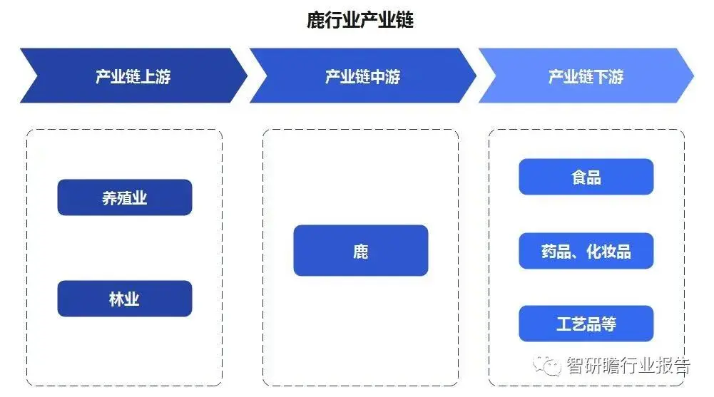 黄牛的养殖技术_养殖黄牛技术要求_养殖黄牛技术视频